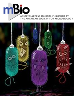 Cover of mBio, featuring study using the protocol.