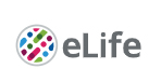 Cover of eLIFE, featuring study using the protocol.
