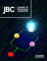 Cover of The Journal of Biological Chemistry, featuring study using the protocol.