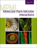Cover of Molecular Plant Microbe Interactions, featuring study using the protocol.