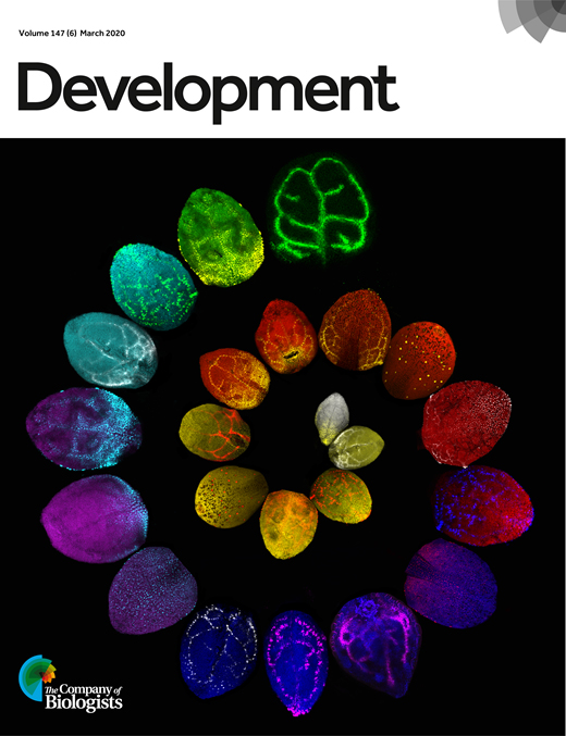 Cover of Development, featuring study using the protocol.