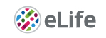 Cover of eLIFE, featuring study using the protocol.