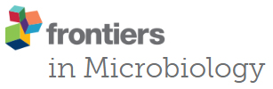 Cover of Frontiers in Microbiology, featuring study using the protocol.