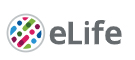 Cover of eLIFE, featuring study using the protocol.