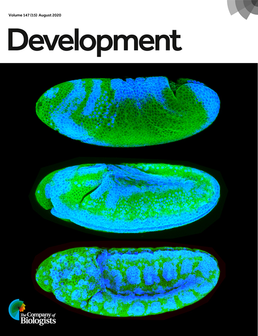 Cover of Development, featuring study using the protocol.