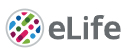 Cover of eLIFE, featuring study using the protocol.