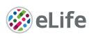 Cover of eLIFE, featuring study using the protocol.