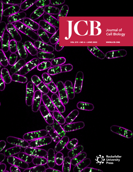 Cover of The Journal of Cell Biology, featuring study using the protocol.