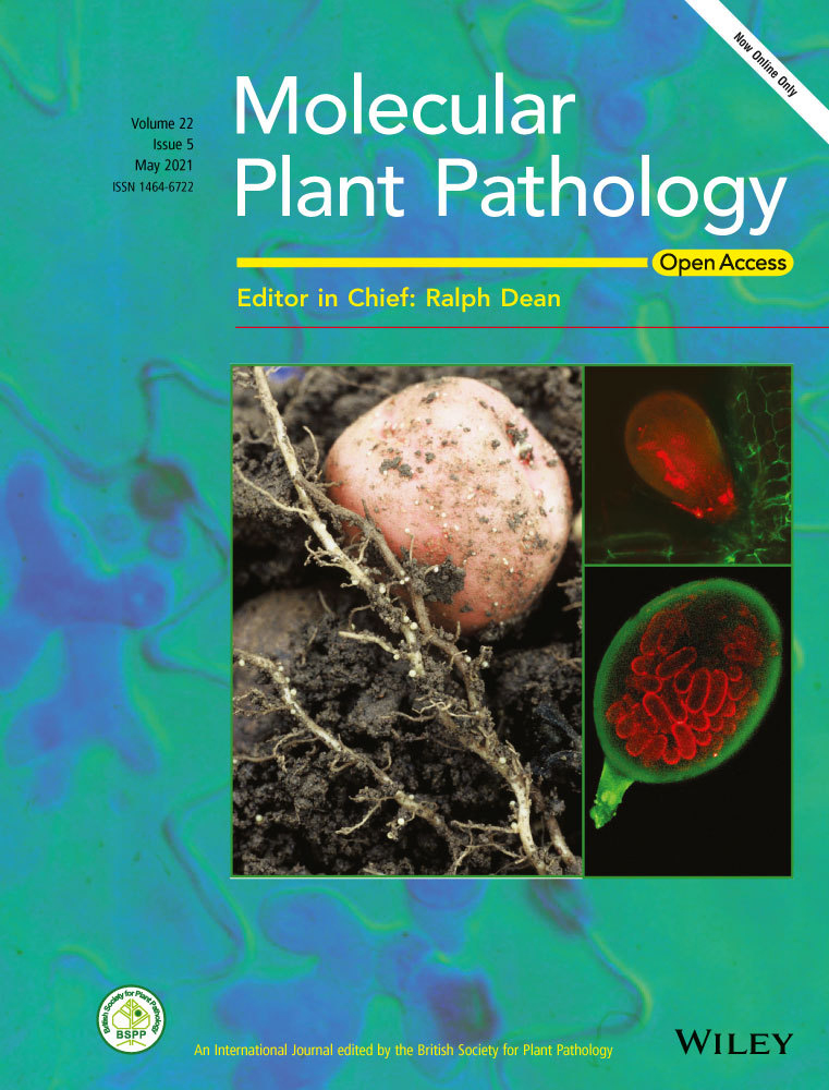 Cover of Molecular Plant Pathology, featuring study using the protocol.