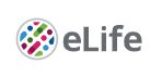 Cover of eLIFE, featuring study using the protocol.
