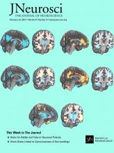 Cover of The Journal of Neuroscience, featuring study using the protocol.