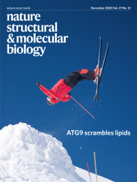 Cover of Nature structural & molecular biology, featuring study using the protocol.