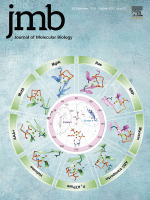 Cover of Journal of Molecular Biology, featuring study using the protocol.