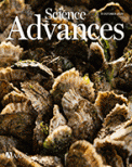 Cover of Science Advances, featuring study using the protocol.