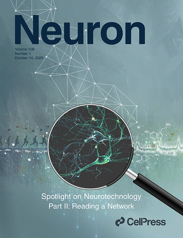 Cover of Neuron, featuring study using the protocol.