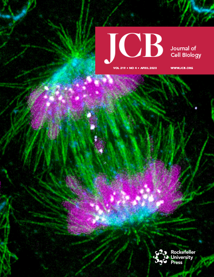 Cover of The Journal of Cell Biology, featuring study using the protocol.