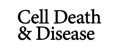 Cover of Cell Death & Disease, featuring study using the protocol.