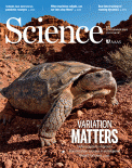 Cover of Science, featuring study using the protocol.