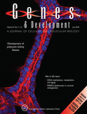 Cover of Genes & Development, featuring study using the protocol.