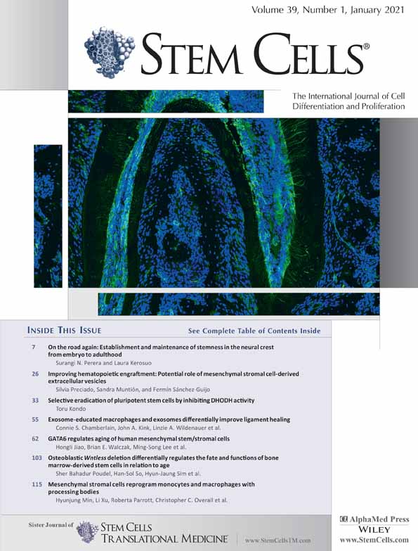 Cover of Stem Cells, featuring study using the protocol.