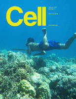 Cover of Cell, featuring study using the protocol.