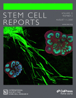 Cover of Stem Cell Reports, featuring study using the protocol.