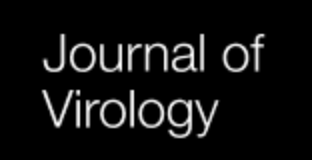 Cover of Journal of Virology, featuring study using the protocol.