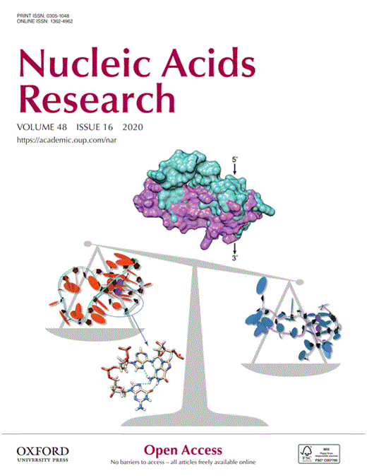 Cover of Nucleic Acids Research, featuring study using the protocol.
