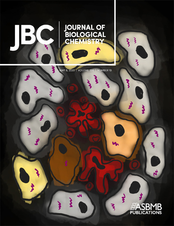 Cover of The Journal of Biological Chemistry, featuring study using the protocol.