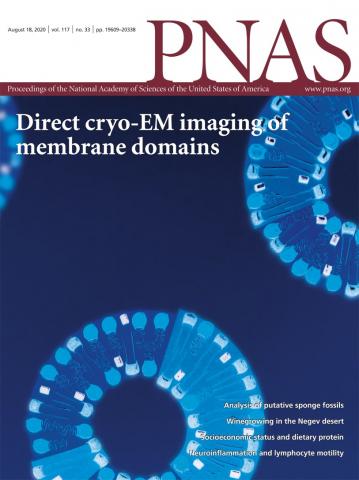 Cover of Proceedings of the National Academy of Sciences of the United States of America, featuring study using the protocol.