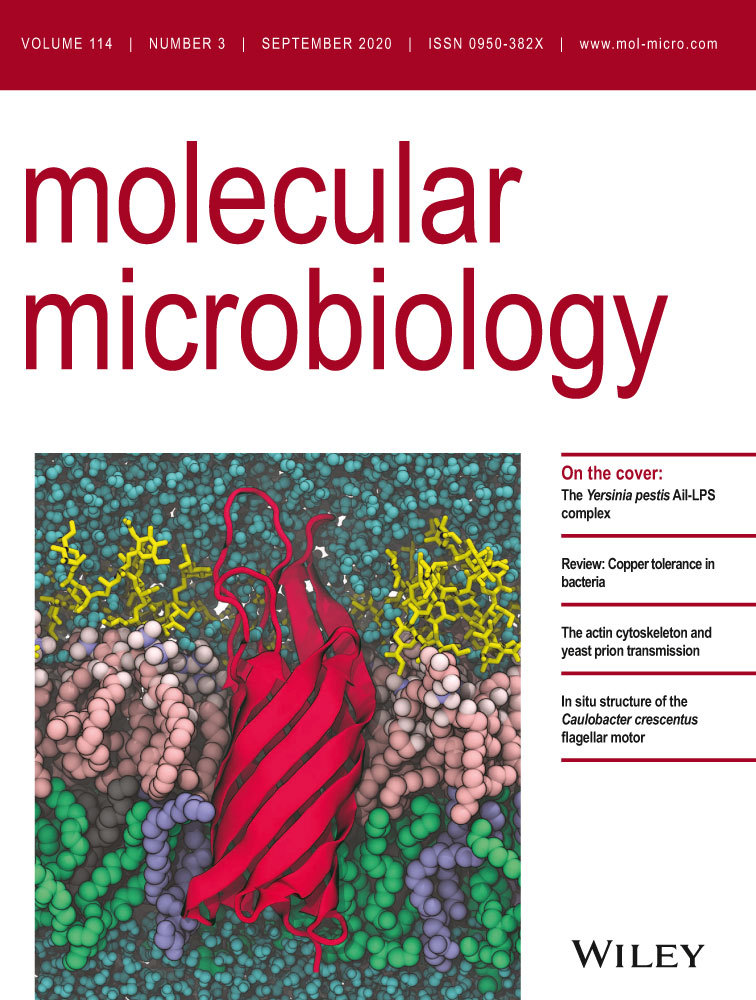 Cover of Molecular Microbiology, featuring study using the protocol.