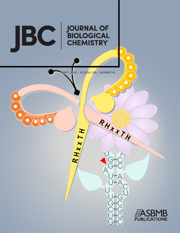 Cover of The Journal of Biological Chemistry, featuring study using the protocol.