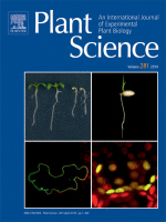 Cover of Plant Science, featuring study using the protocol.