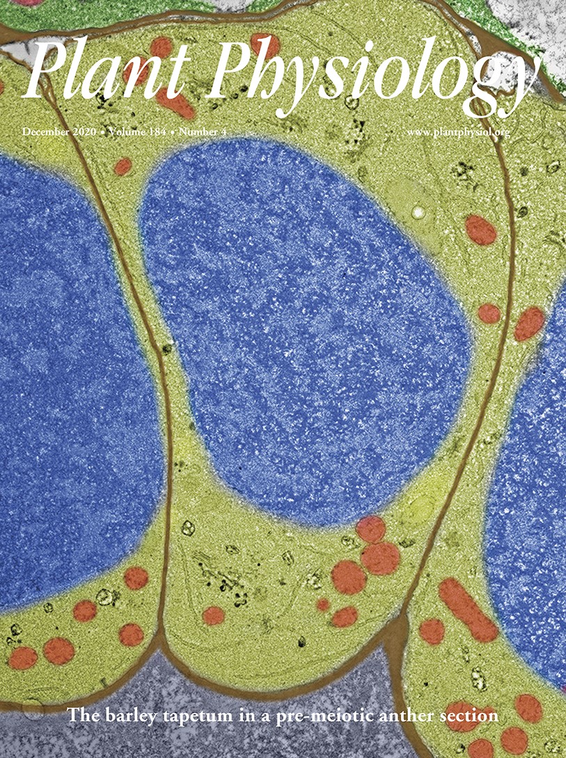 Cover of Plant Physiology, featuring study using the protocol.