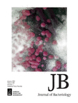 Cover of Journal of Bacteriology, featuring study using the protocol.