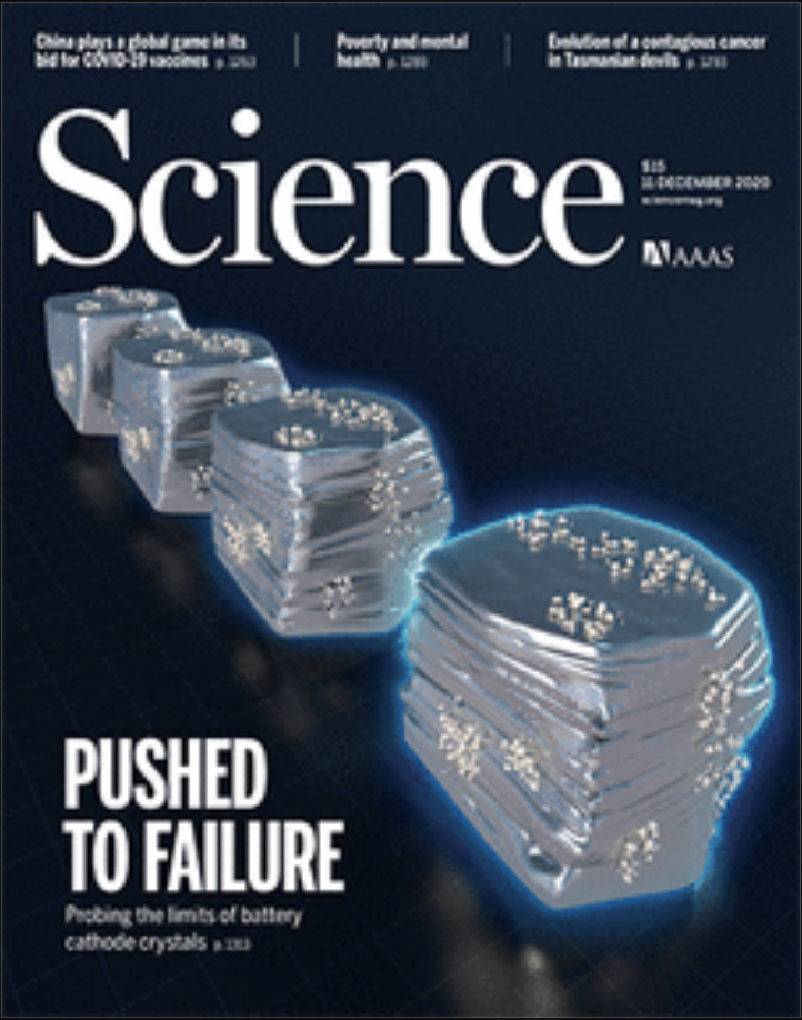 Cover of Science, featuring study using the protocol.