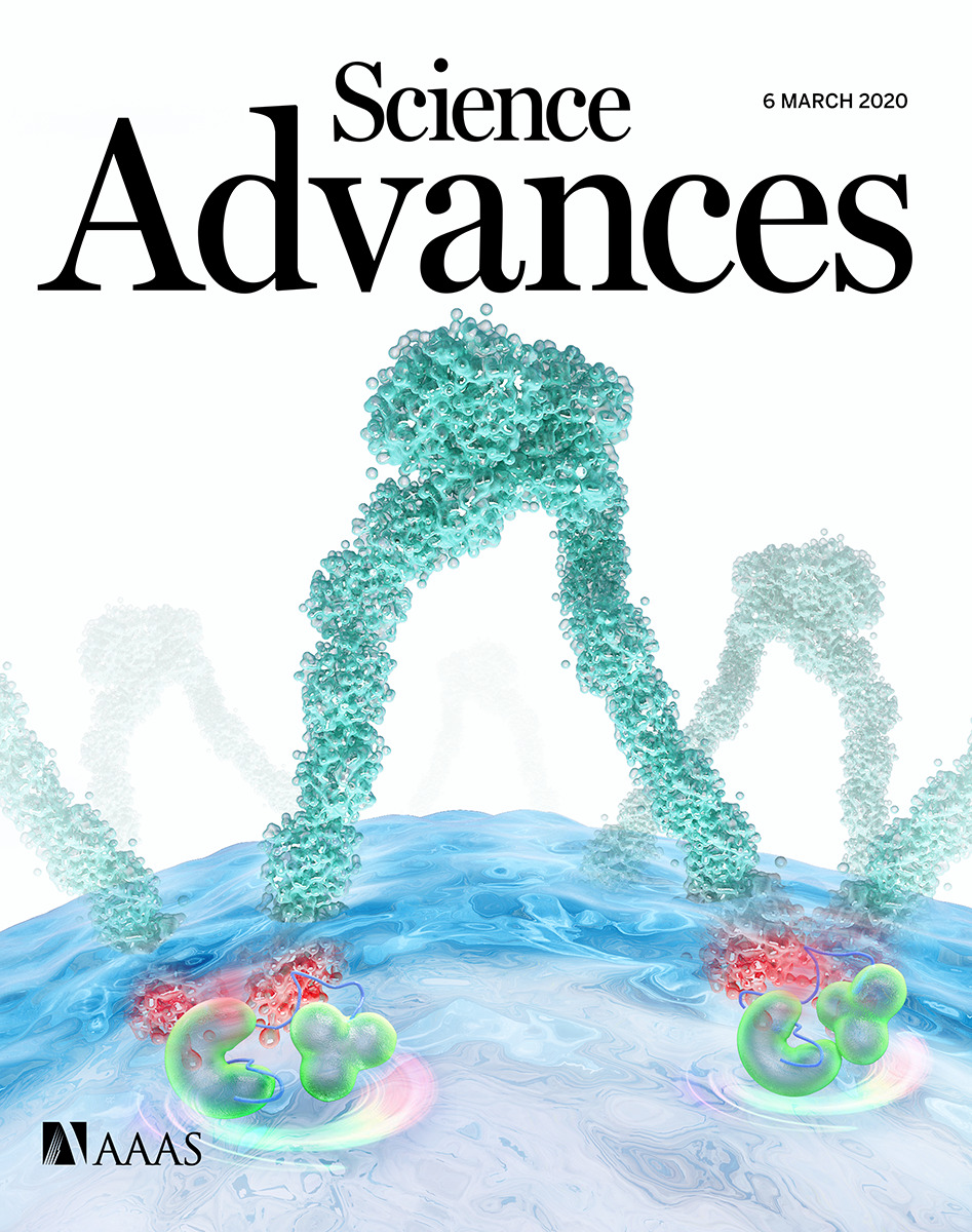 Cover of Science Advances, featuring study using the protocol.