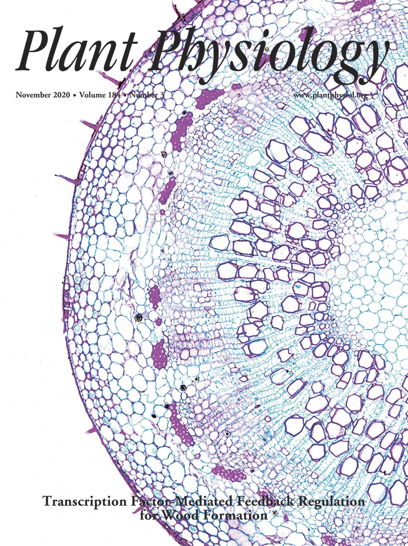 Cover of Plant Physiology, featuring study using the protocol.