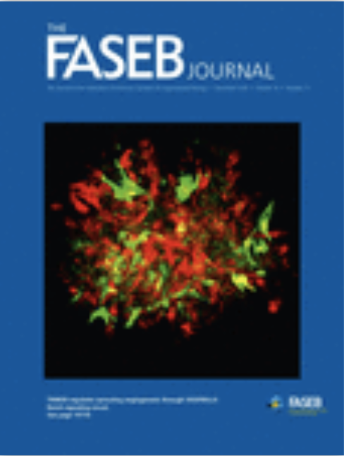 Cover of The FASEB Journal, featuring study using the protocol.