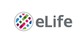 Cover of eLIFE, featuring study using the protocol.
