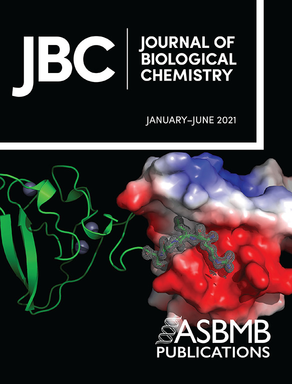 Cover of The Journal of Biological Chemistry, featuring study using the protocol.