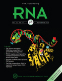 Cover of RNA, featuring study using the protocol.