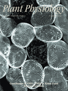 Cover of Plant Physiology, featuring study using the protocol.