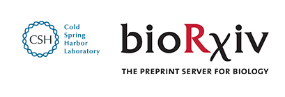 Cover of bioRxiv, featuring study using the protocol.