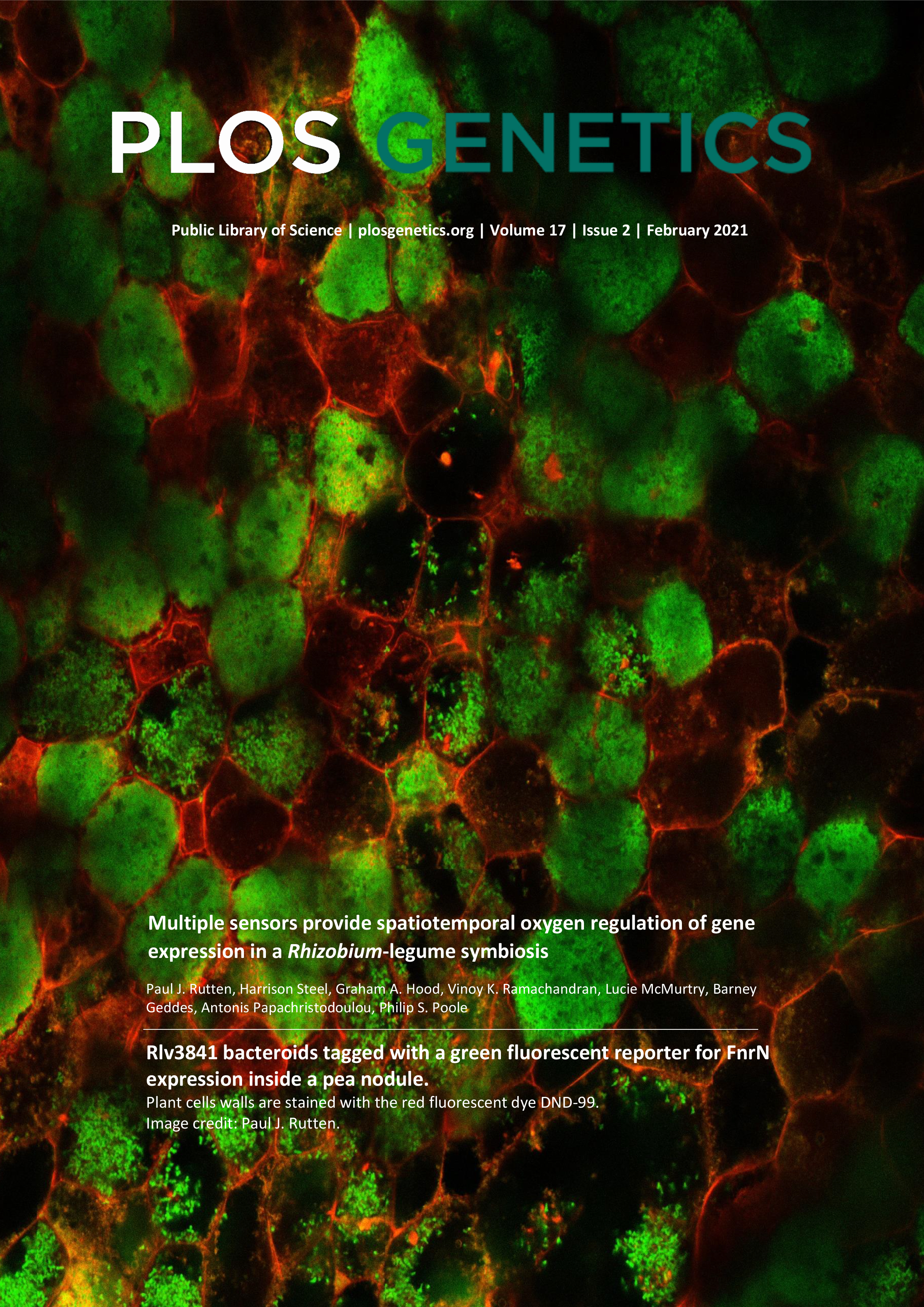 Cover of PLOS Genetics, featuring study using the protocol.