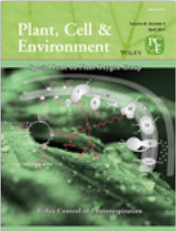 Cover of Plant, Cell & Environment, featuring study using the protocol.