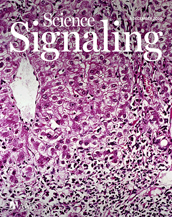 Cover of Science Signaling, featuring study using the protocol.