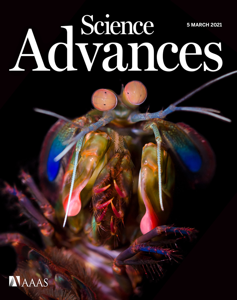 Cover of Science Advances, featuring study using the protocol.