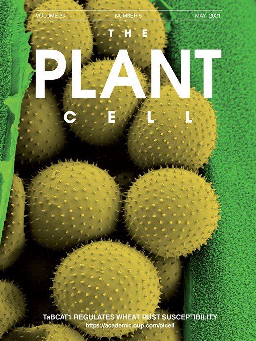 Cover of The Plant Cell, featuring study using the protocol.