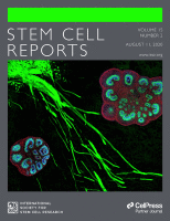 Cover of Stem Cell Reports, featuring study using the protocol.